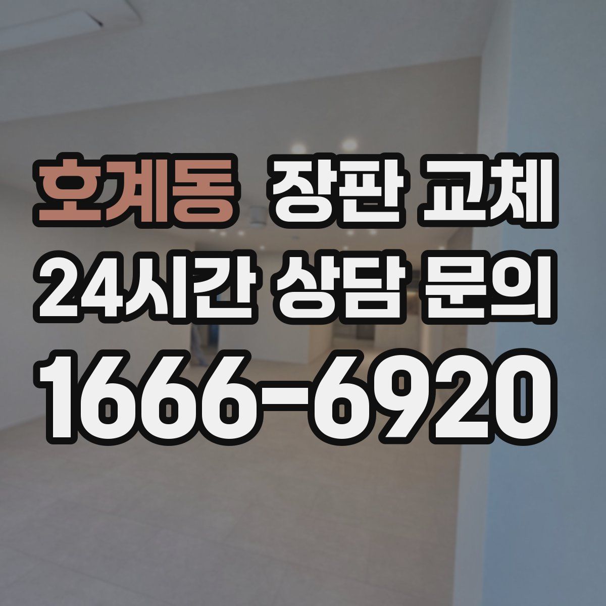 호계동 장판 교체