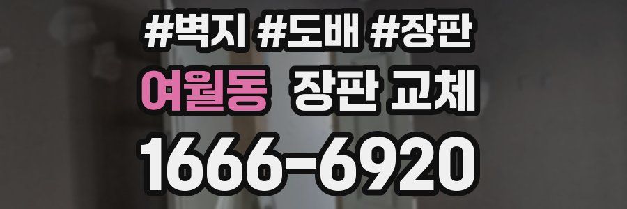 여월동 장판 교체