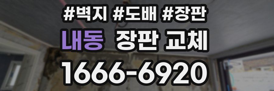 내동 장판 교체