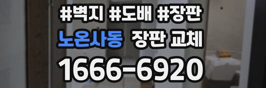 노온사동 장판 교체