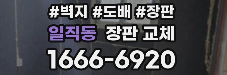 일직동 장판 교체