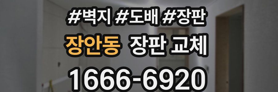 장안동 장판 교체