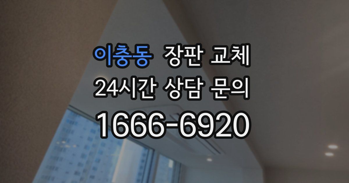 이충동 장판 교체