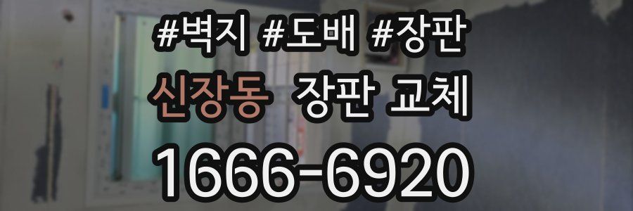 신장동 장판 교체
