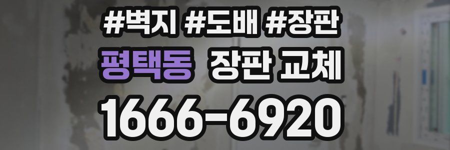 평택동 장판 교체