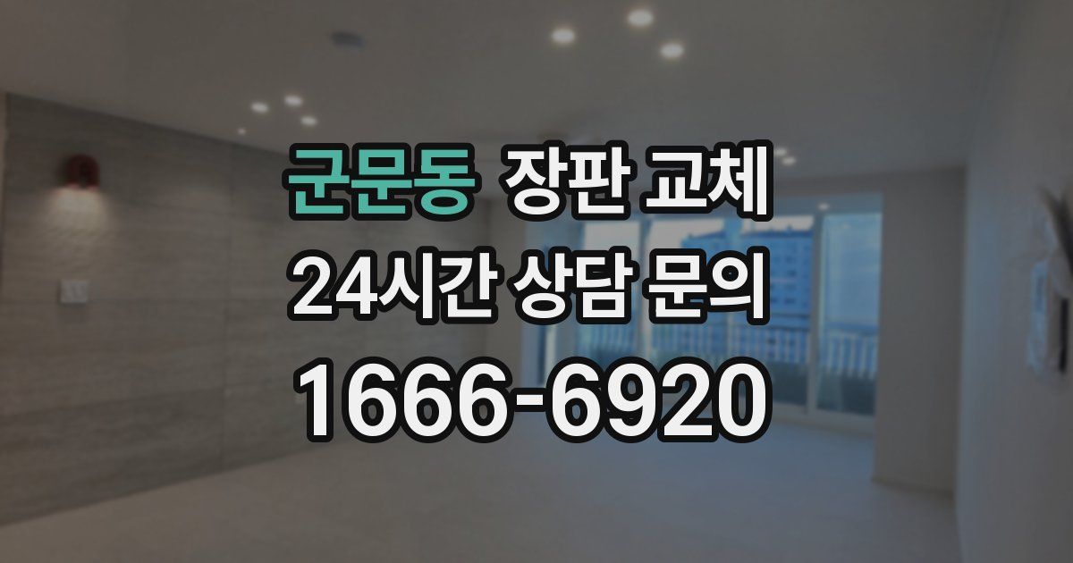 군문동 장판 교체