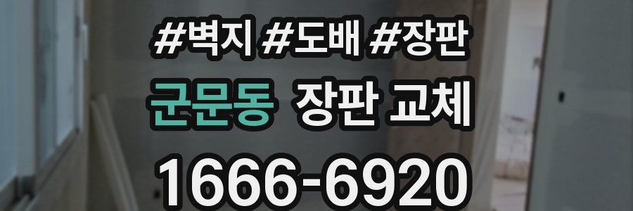 군문동 장판 교체