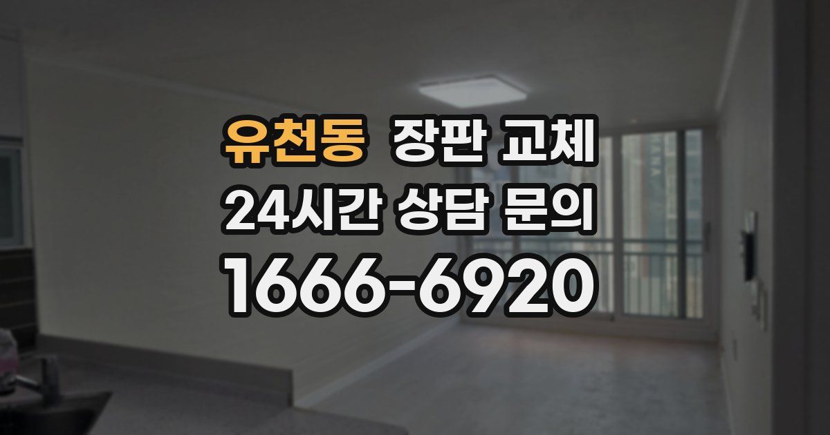 유천동 장판 교체