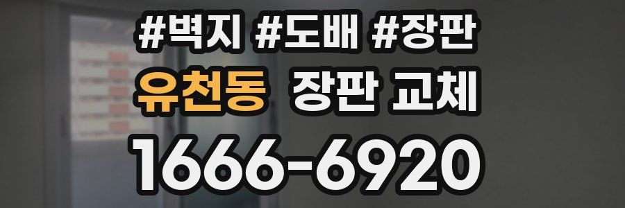 유천동 장판 교체