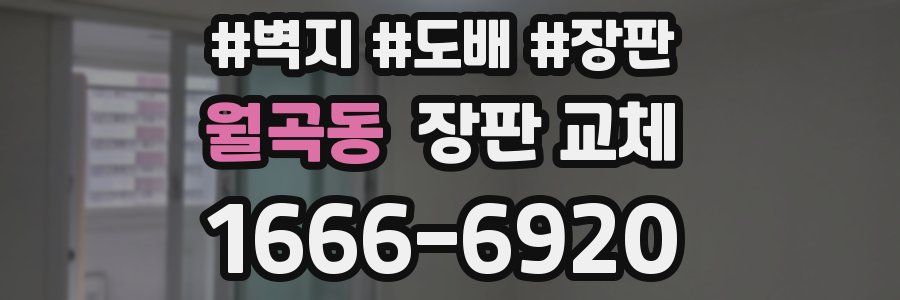 월곡동 장판 교체