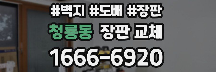 청룡동 장판 교체
