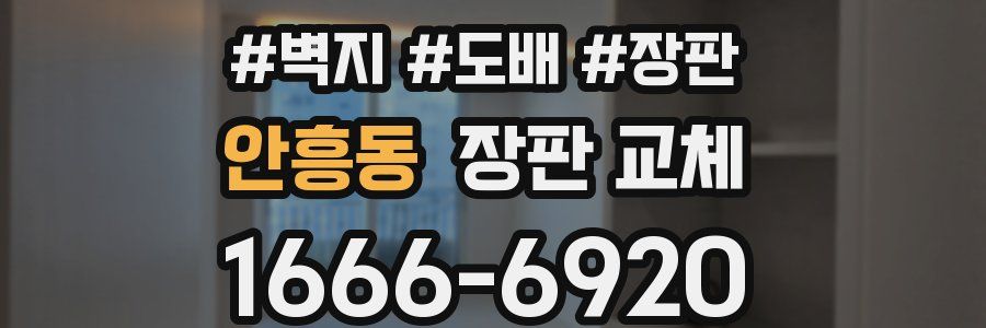 안흥동 장판 교체