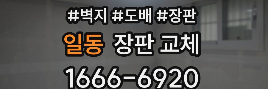 일동 장판 교체