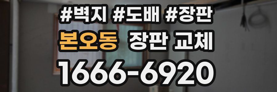 본오동 장판 교체