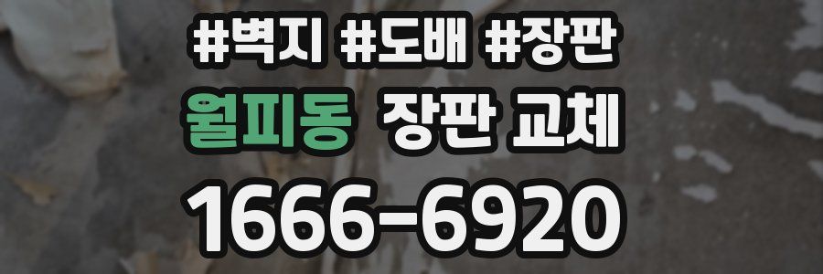 월피동 장판 교체