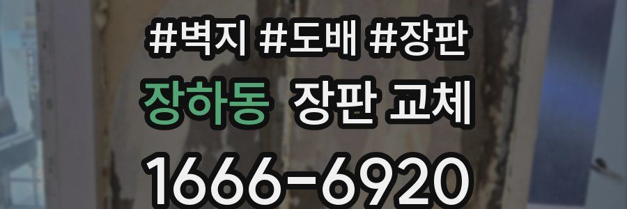 장하동 장판 교체
