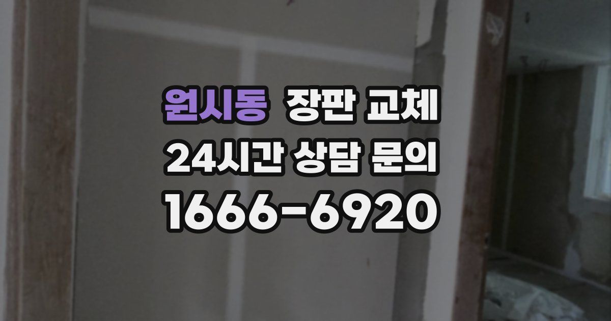 원시동 장판 교체