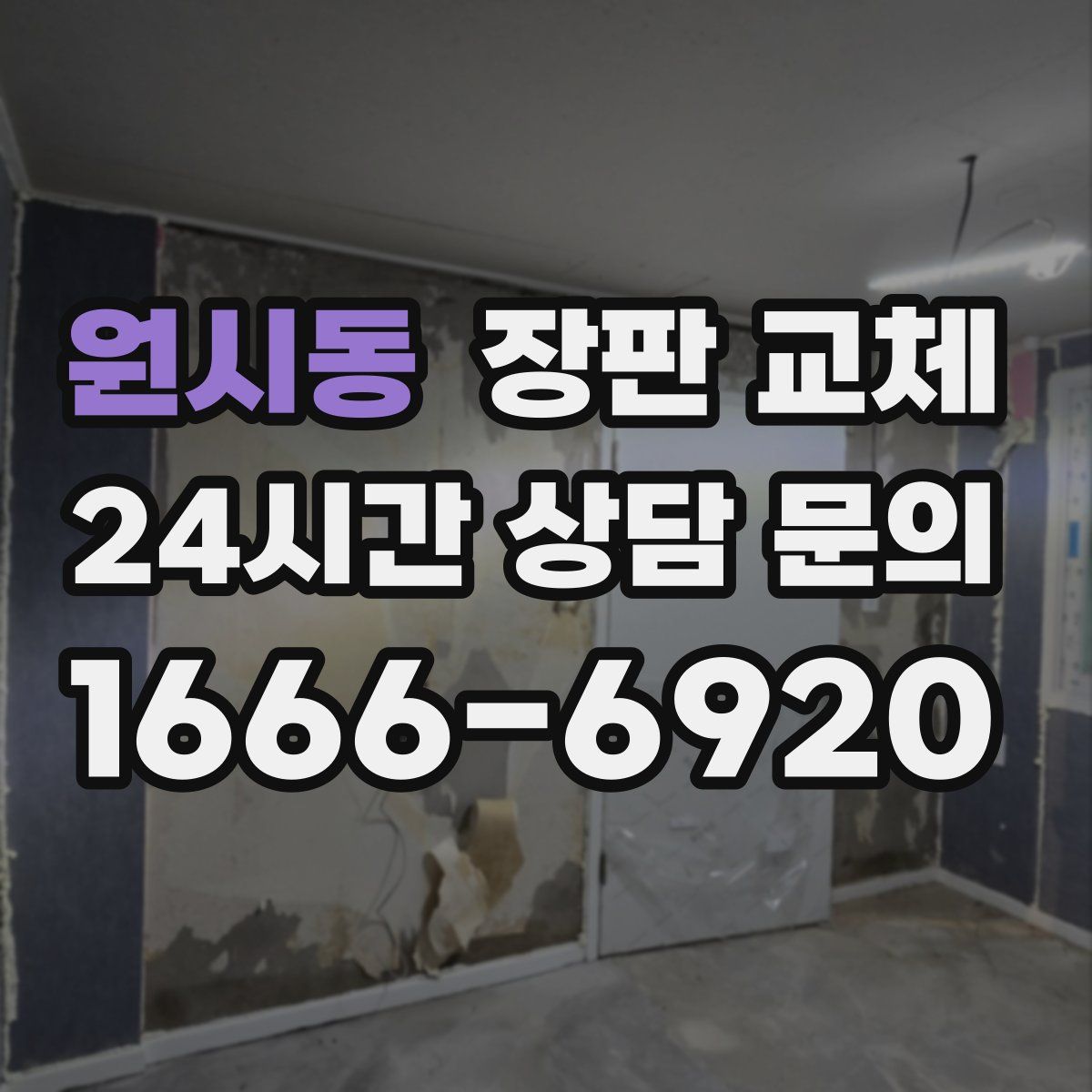 원시동 장판 교체