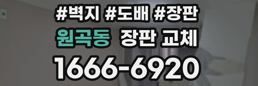 원곡동 장판 교체