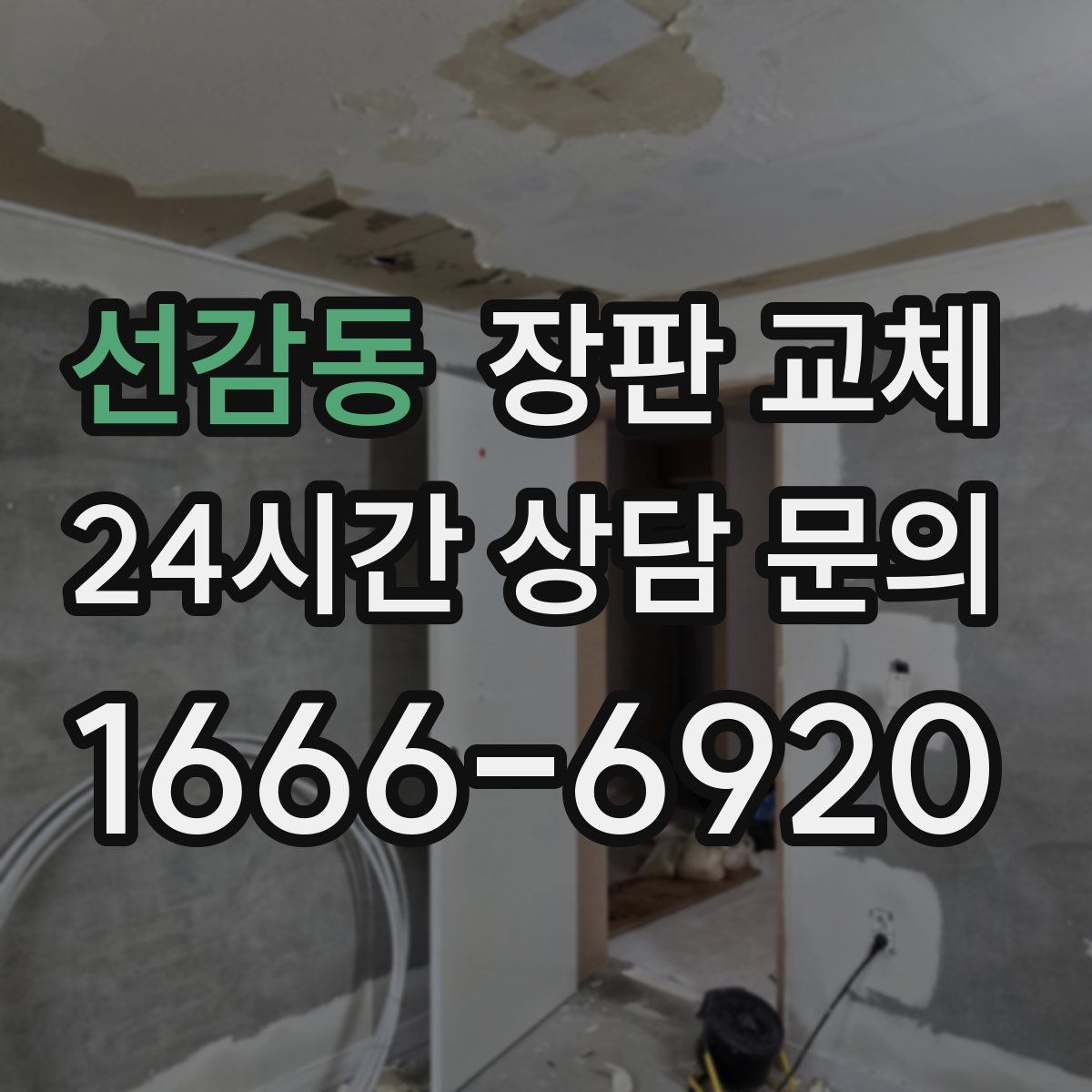 선감동 장판 교체