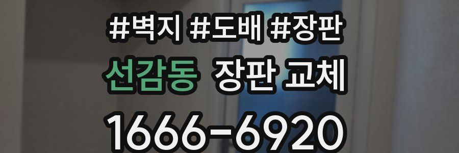 선감동 장판 교체