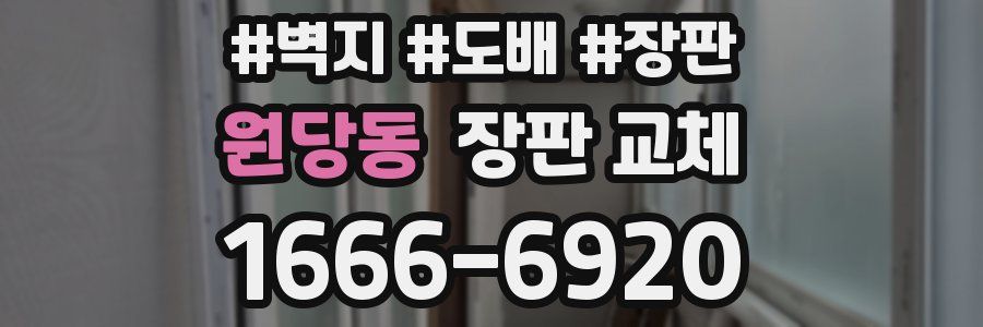 원당동 장판 교체