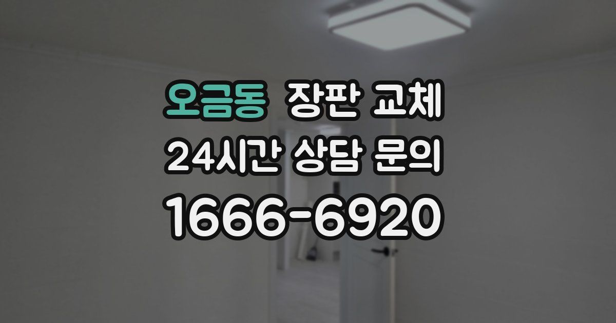 오금동 장판 교체