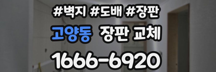 고양동 장판 교체