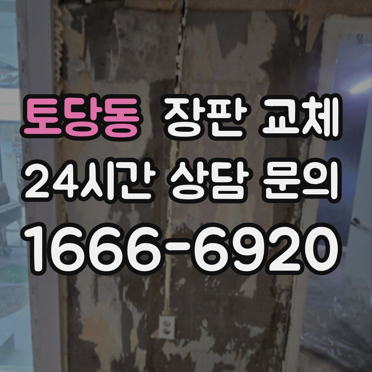 토당동 장판 교체