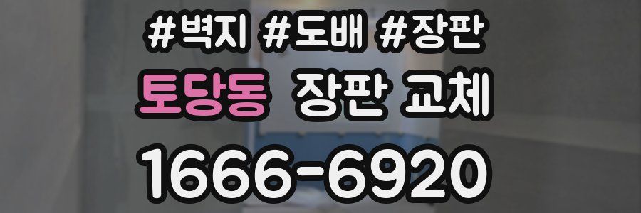 토당동 장판 교체
