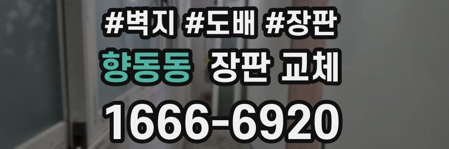 향동동 장판 교체