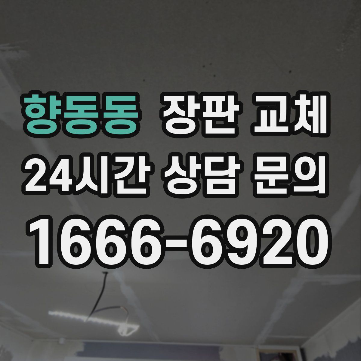 향동동 장판 교체