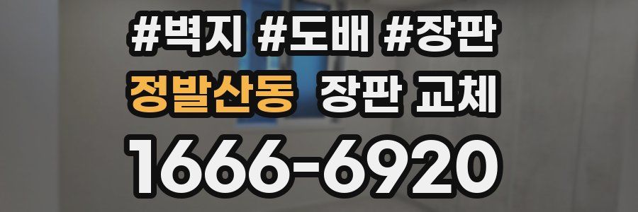 정발산동 장판 교체