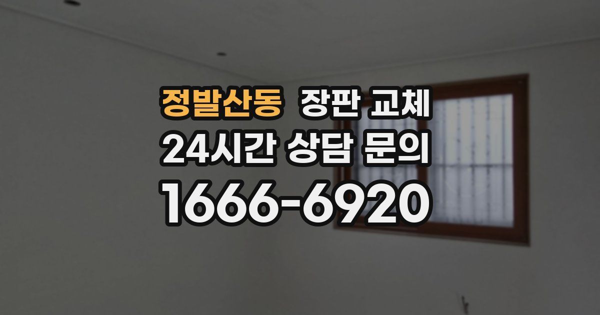 정발산동 장판 교체