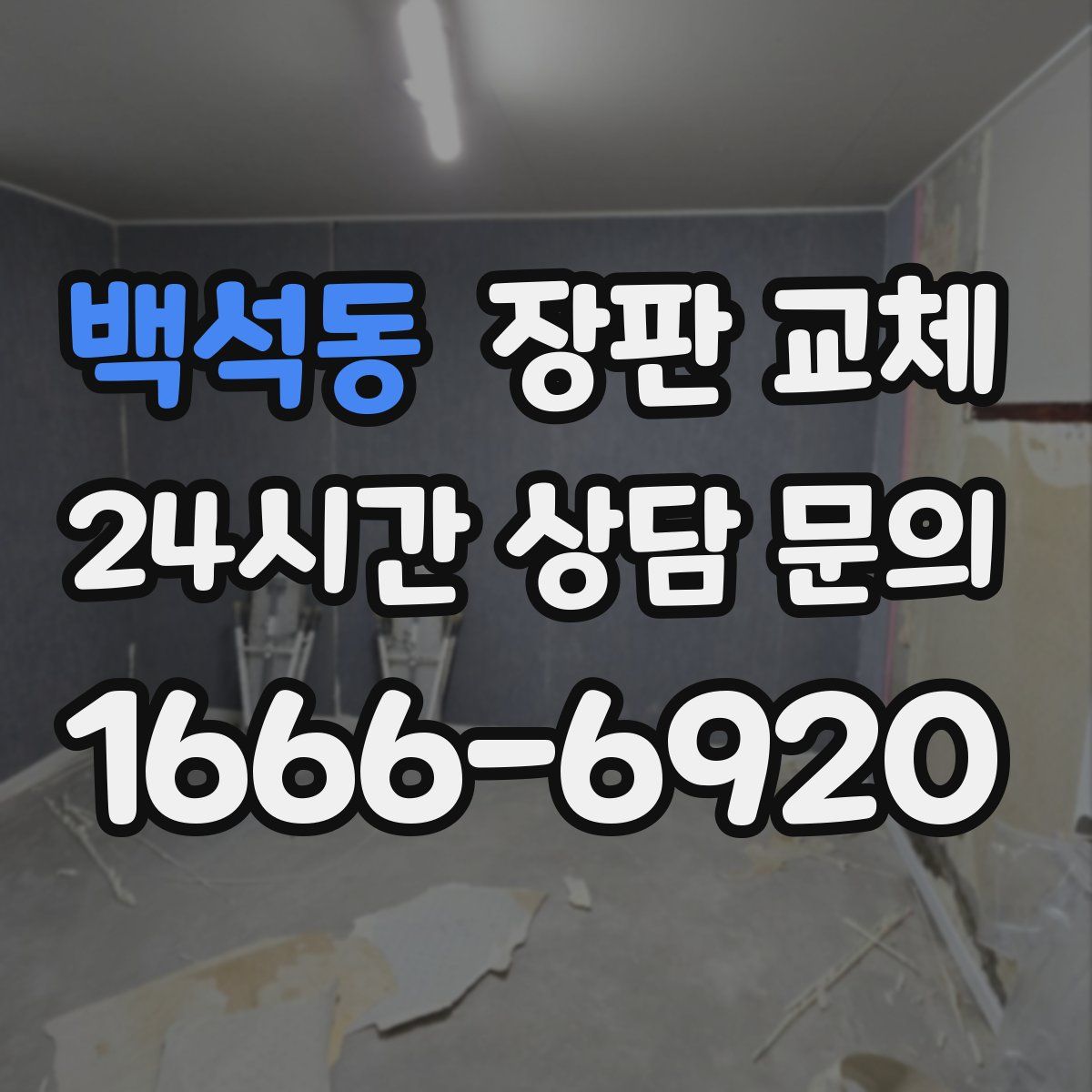 백석동 장판 교체