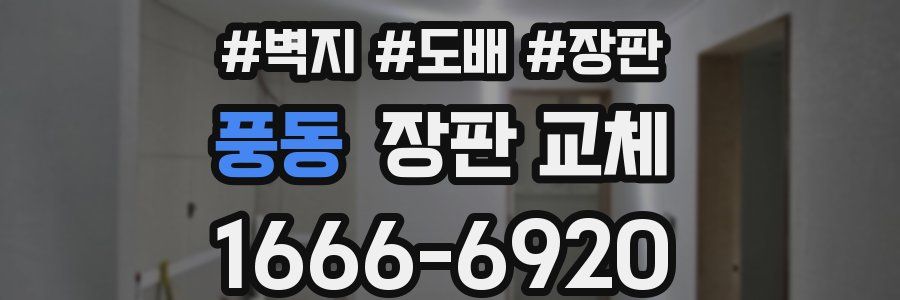 풍동 장판 교체