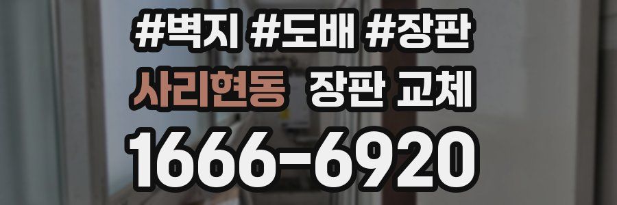 사리현동 장판 교체