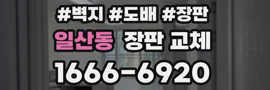 일산동 장판 교체