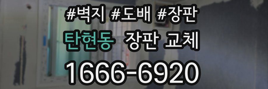 탄현동 장판 교체