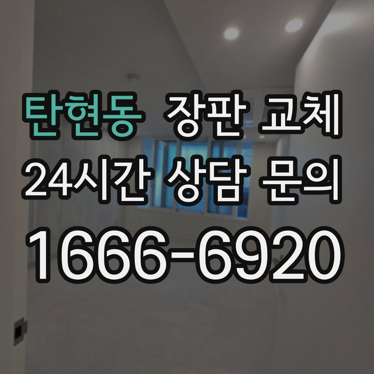 탄현동 장판 교체