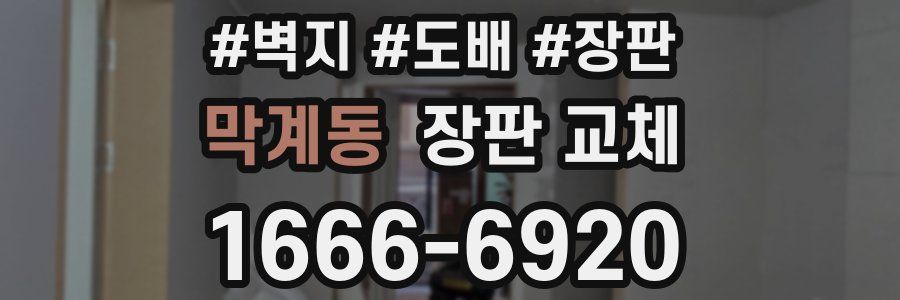 막계동 장판 교체