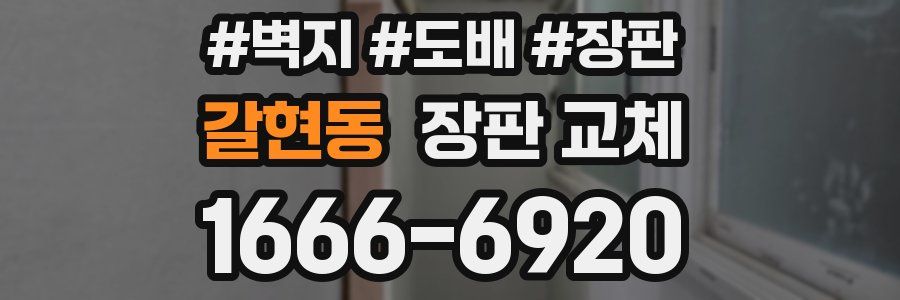 갈현동 장판 교체