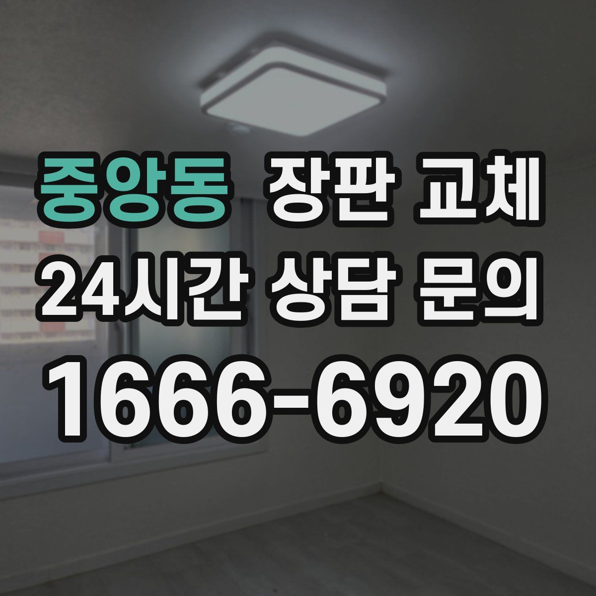 중앙동 장판 교체