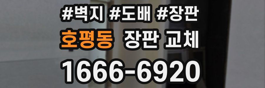 호평동 장판 교체