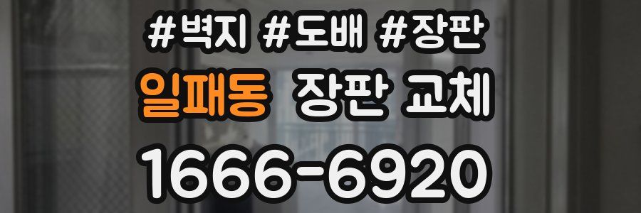 일패동 장판 교체