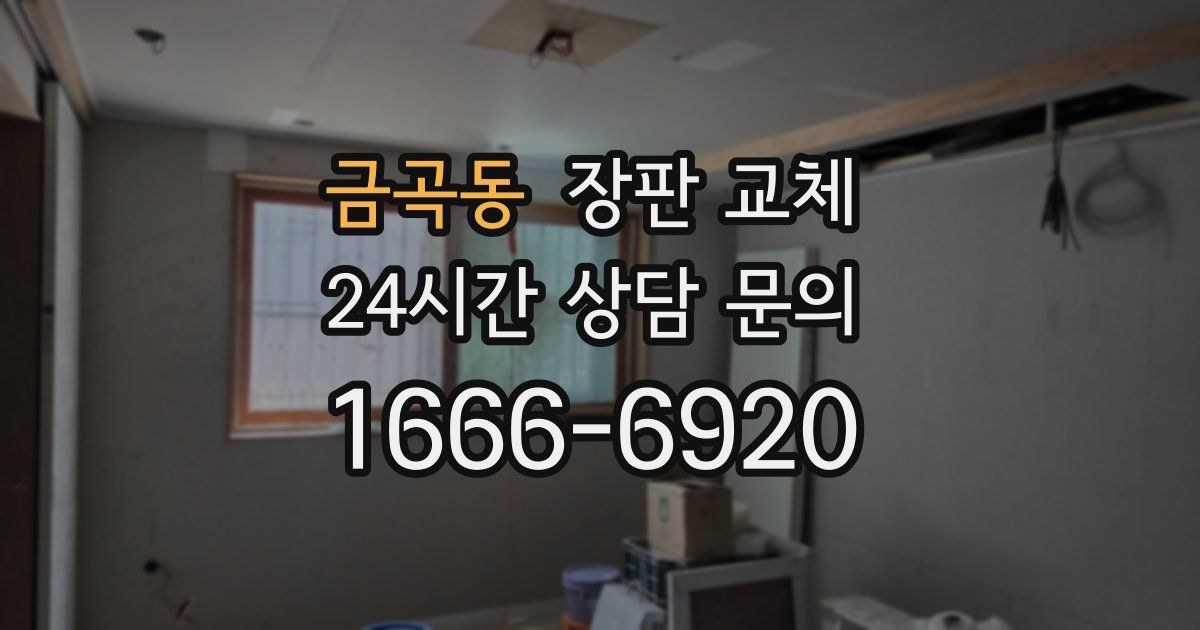 금곡동 장판 교체