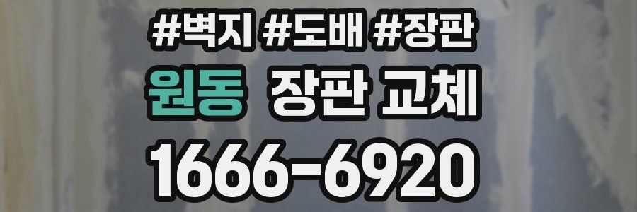 원동 장판 교체