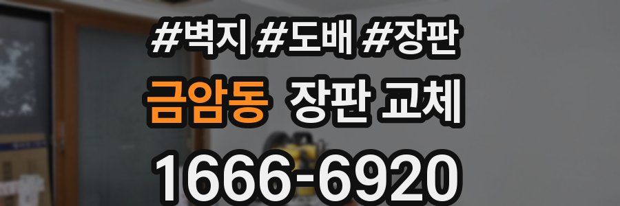 금암동 장판 교체