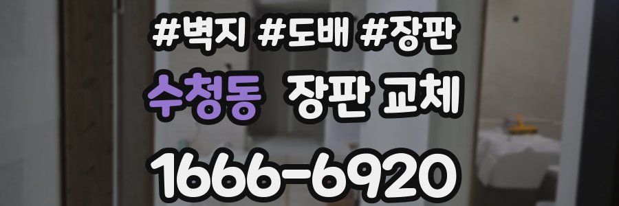 수청동 장판 교체