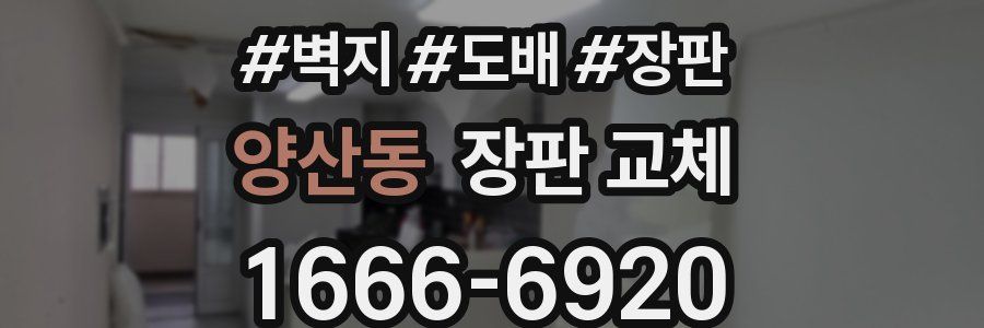 양산동 장판 교체
